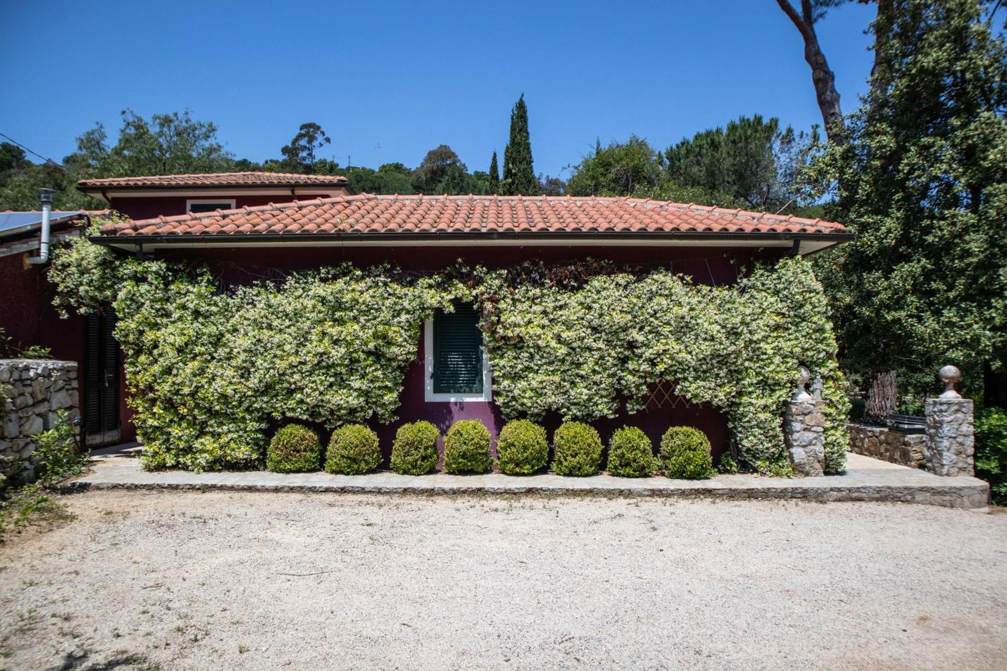 Villa Gelsomini Capoliveri  Exterior photo